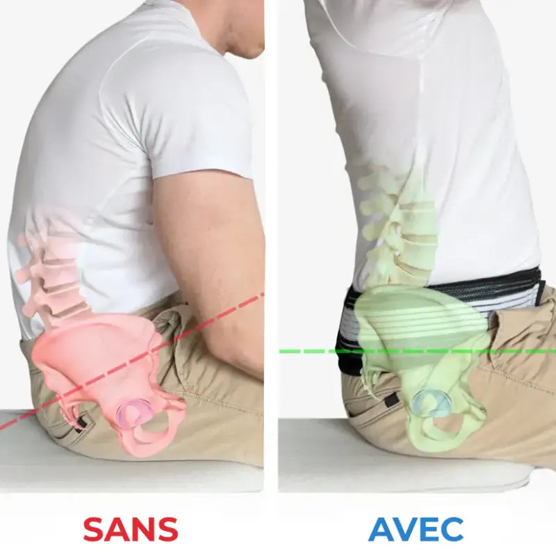 ORTHORELAX - Ceinture de soutien